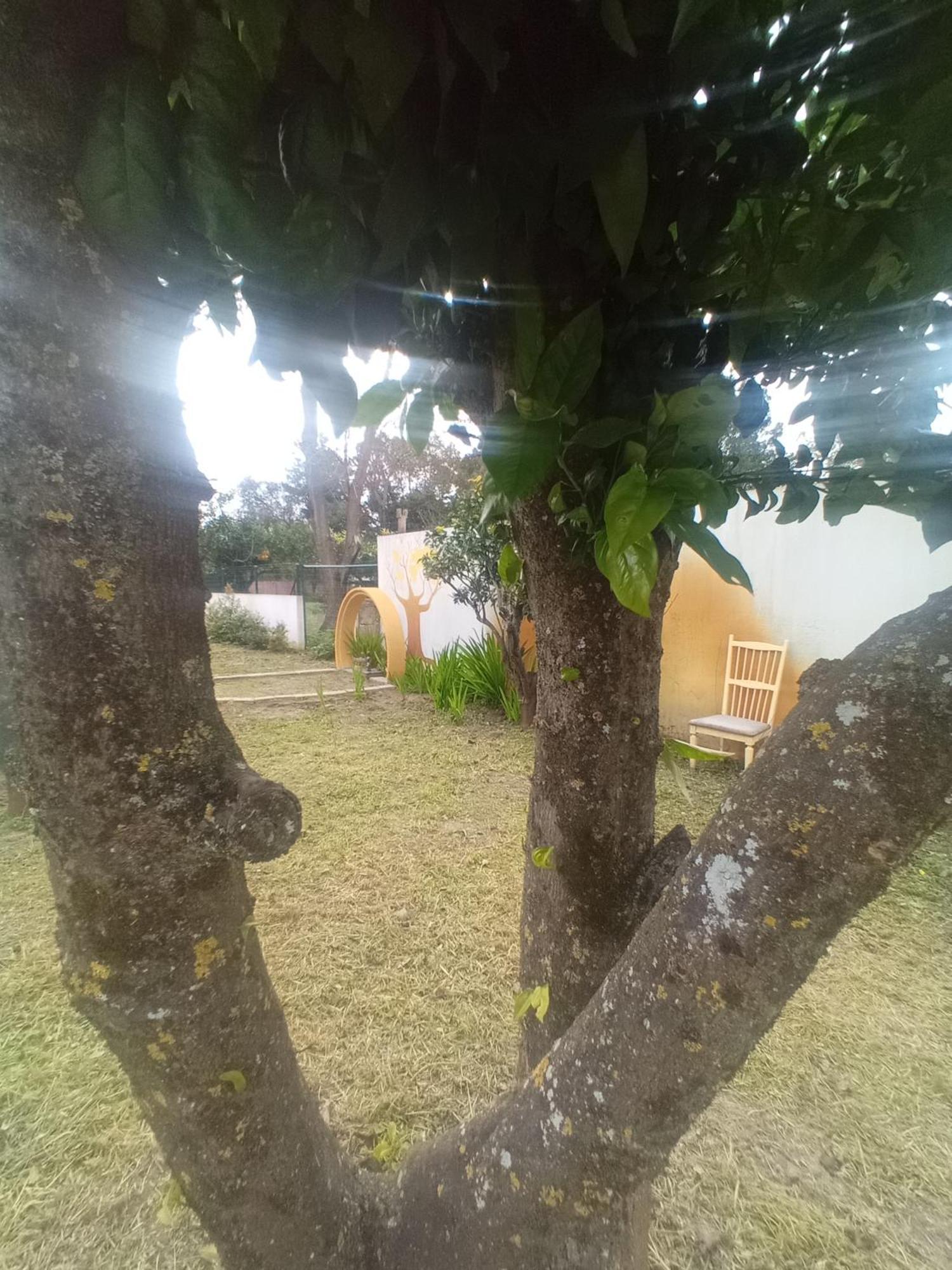 Villa O Mundo Da Lua à Azeitão Extérieur photo
