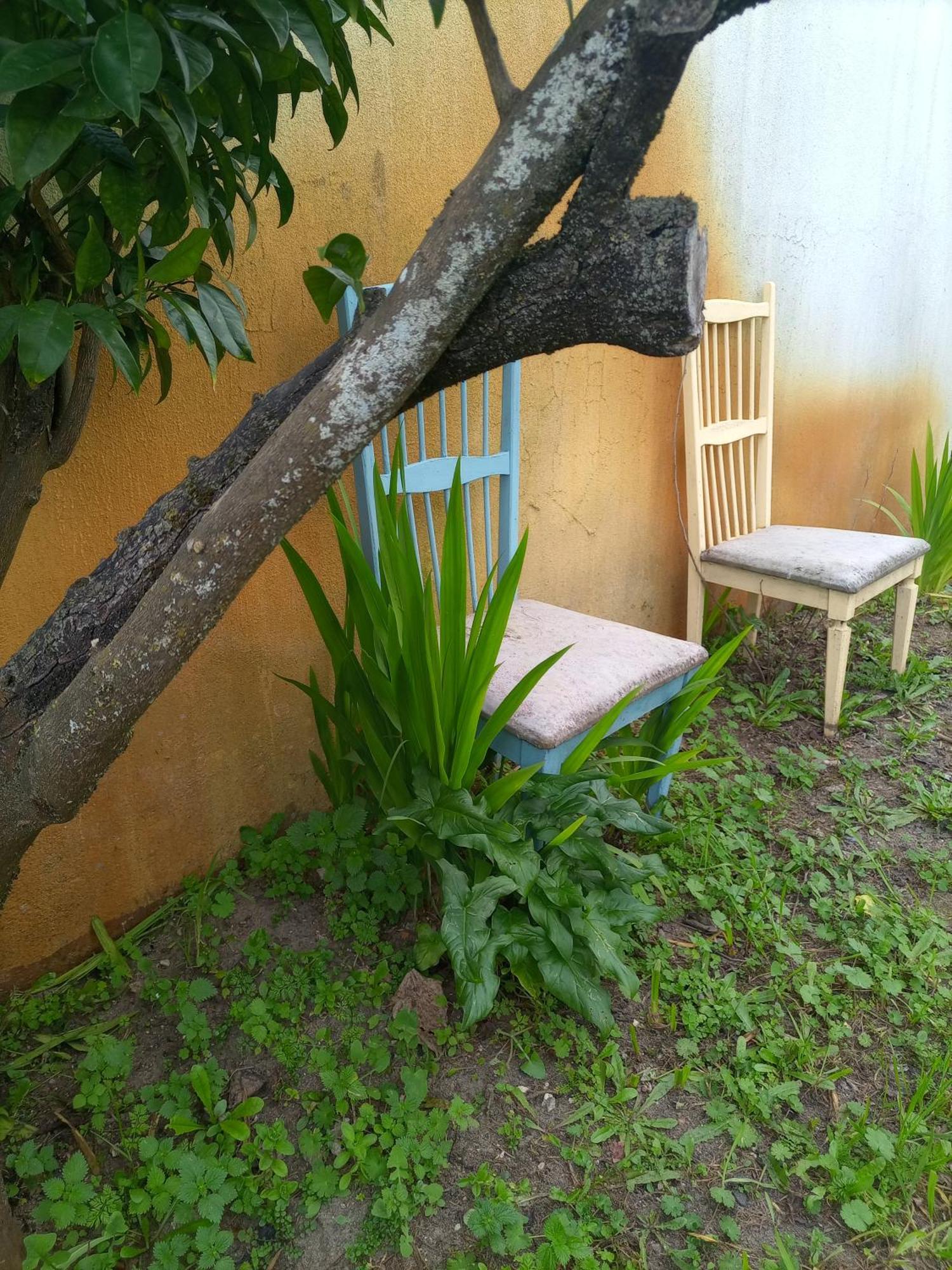 Villa O Mundo Da Lua à Azeitão Extérieur photo