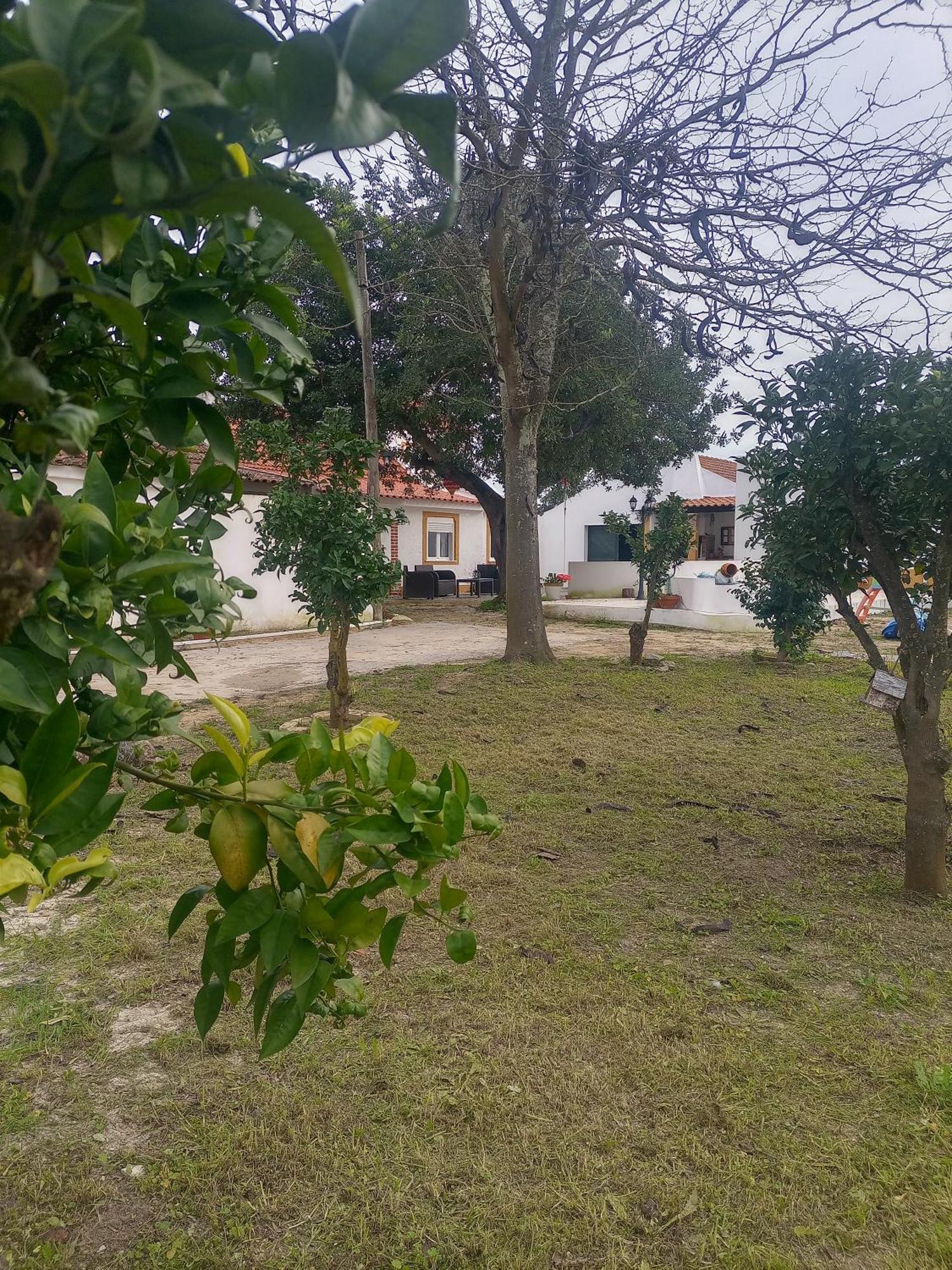 Villa O Mundo Da Lua à Azeitão Extérieur photo