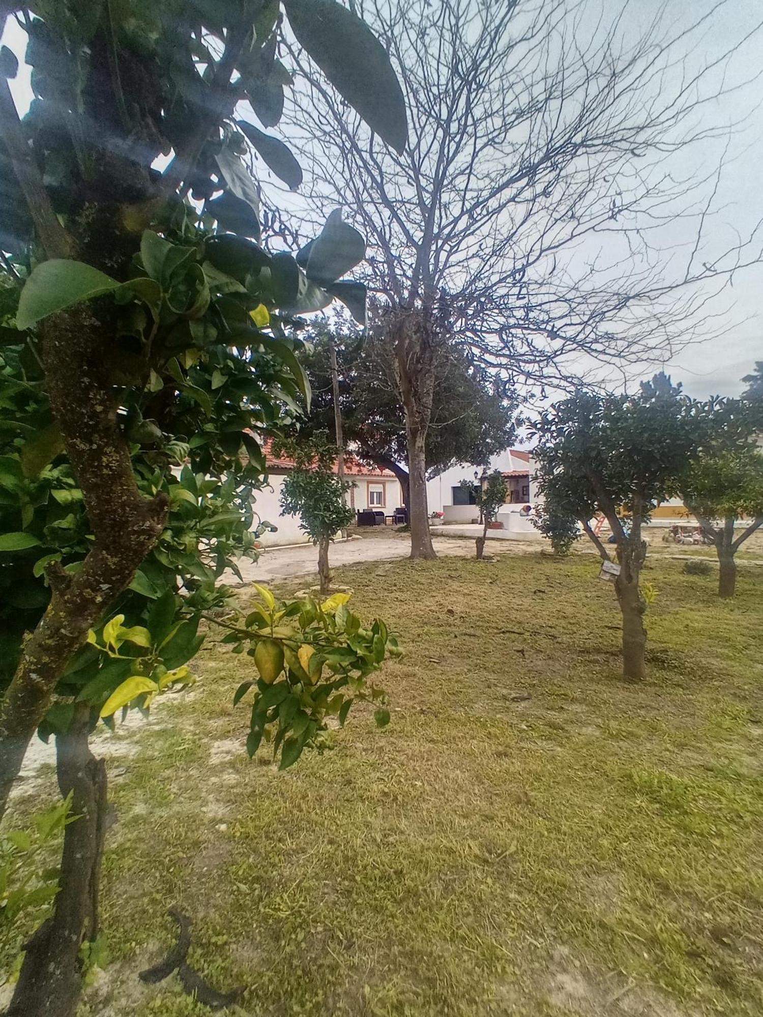 Villa O Mundo Da Lua à Azeitão Extérieur photo