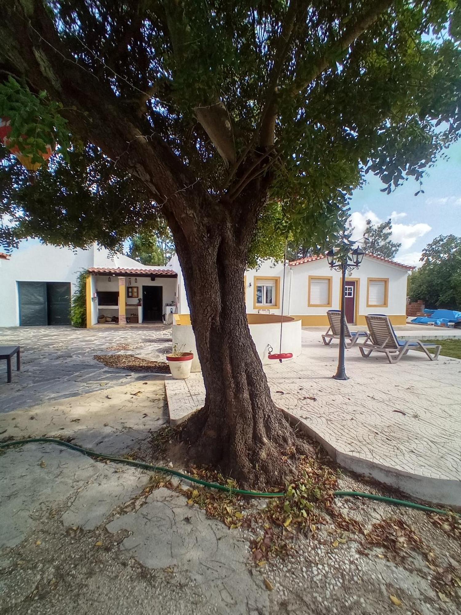 Villa O Mundo Da Lua à Azeitão Extérieur photo